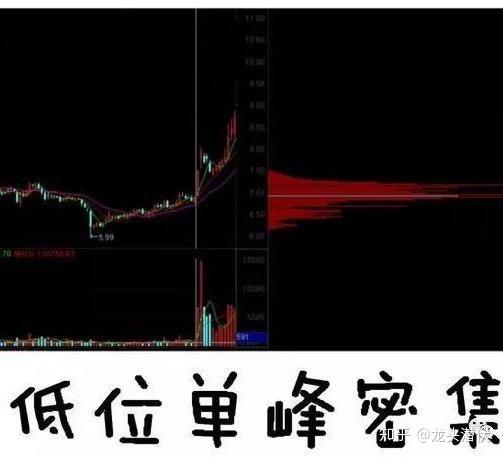 Cảnh sát giải cứu nam du khách rơi xuống vực sâu đèo Hải Vân